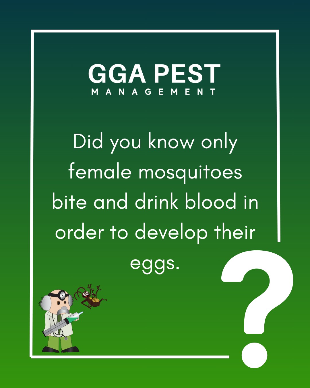 this season with proven mosquito solutions. Book an appointment today with a trained technician.
☎️ 254.666.3439 ot 📲 https://ggapest.com/book