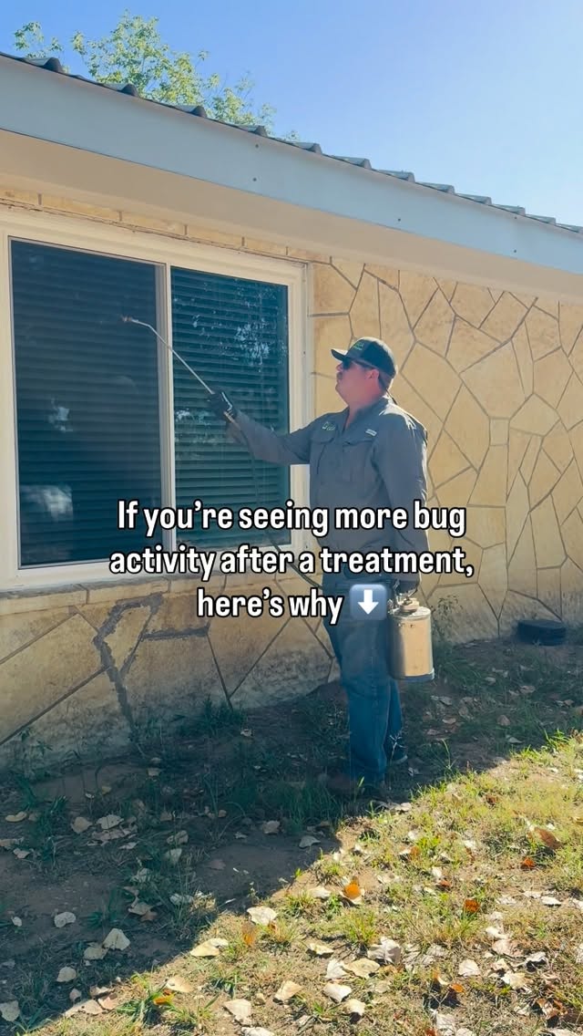It can catch you off guard to notice more pest activity right after a treatment, but that’s actually a positive sign.

Our treatments are built to reach pests where they’re hiding. When those areas are applied, bugs are flushed out of their nesting spots, which is why you might see a little more movement at first. Once they come into contact with the product, they’re eliminated and activity starts to decline. 🐜🦟❌

This stage is temporary and a normal part of the process. Most homes begin seeing clear improvement within a few days as the treatment continues doing its job.

If you ever have questions or feel like things aren’t improving, we’re here for you. Our team knows what to look for and can make adjustments if needed.

Trust the process. We’ve got you covered.👍

