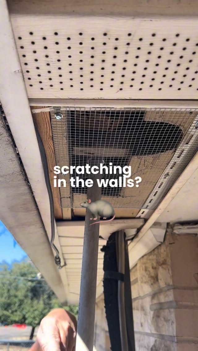 🐭🏡 Rodents + Your House = Should Be Separated.

Hearing scratching in the walls or noises in the attic? That’s often a sign of mice + other rodents trying to move in.

That’s where pest exclusion comes in. We focus on sealing up entry points around your roofline, vents, gaps, and foundation - blocking off the tiny openings bugs and rodents use to get inside.

By securing the outside of your home, we help prevent:
✔️ Costly damage to wires and insulation
✔️ Contamination from droppings
✔️ Ongoing infestations
✔️ Stressful surprise encounters

We believe the best pest control starts on the outside, and keeps your home protected on the inside. 💪🏡

Need help keeping them separated? We’ve got you covered. 👉 ggapest.com


