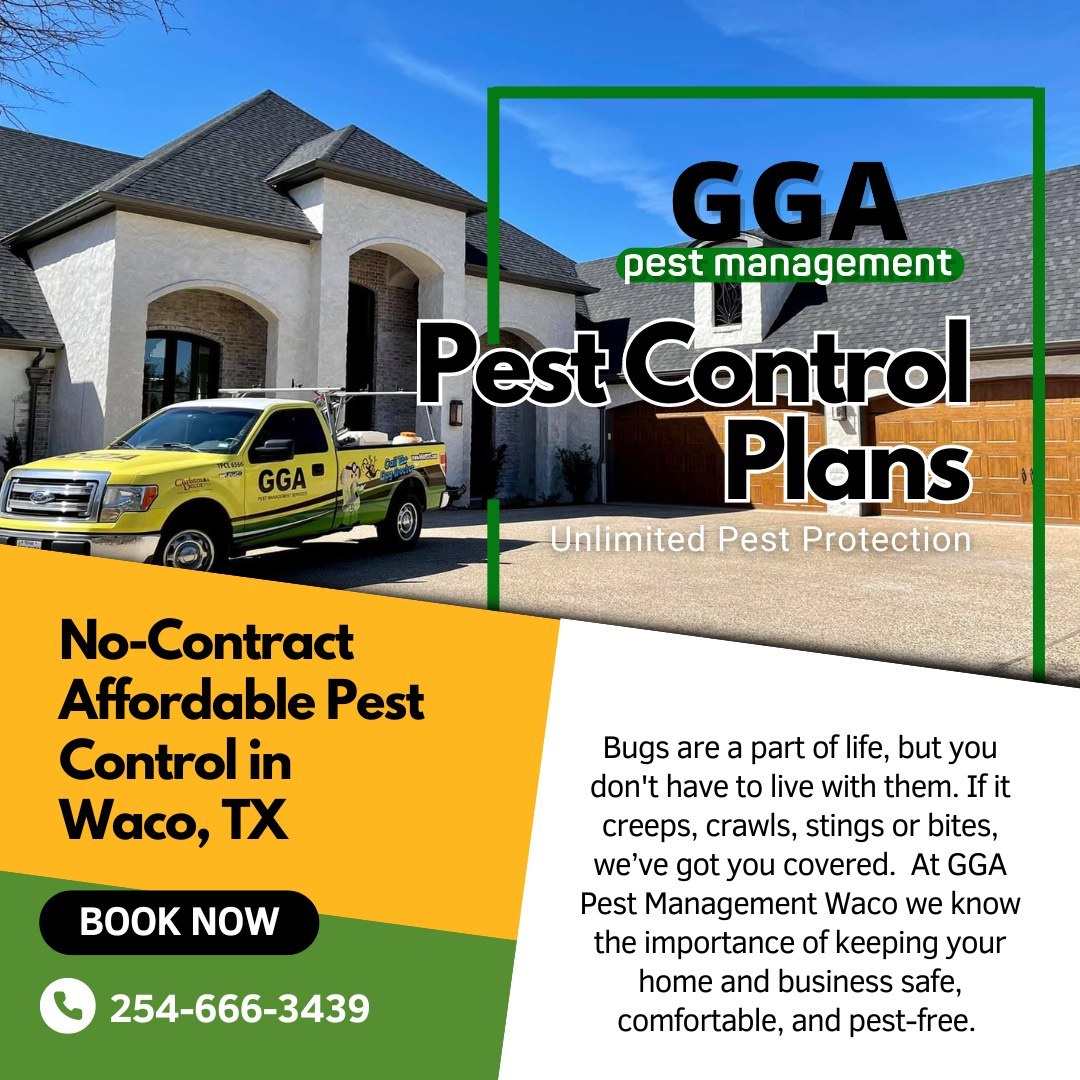 No-Contract Pest Control Plans for Every Situation

GGA offers the most advanced pest control in Waco, Temple, Killeen, and surrounding areas in Central Texas. Custom pest plans designed to target, eliminate and prevent future pest infestations, backed with science and 40 years experience.

View all of our plans at: https://ggapest.com/waco/plans 
 