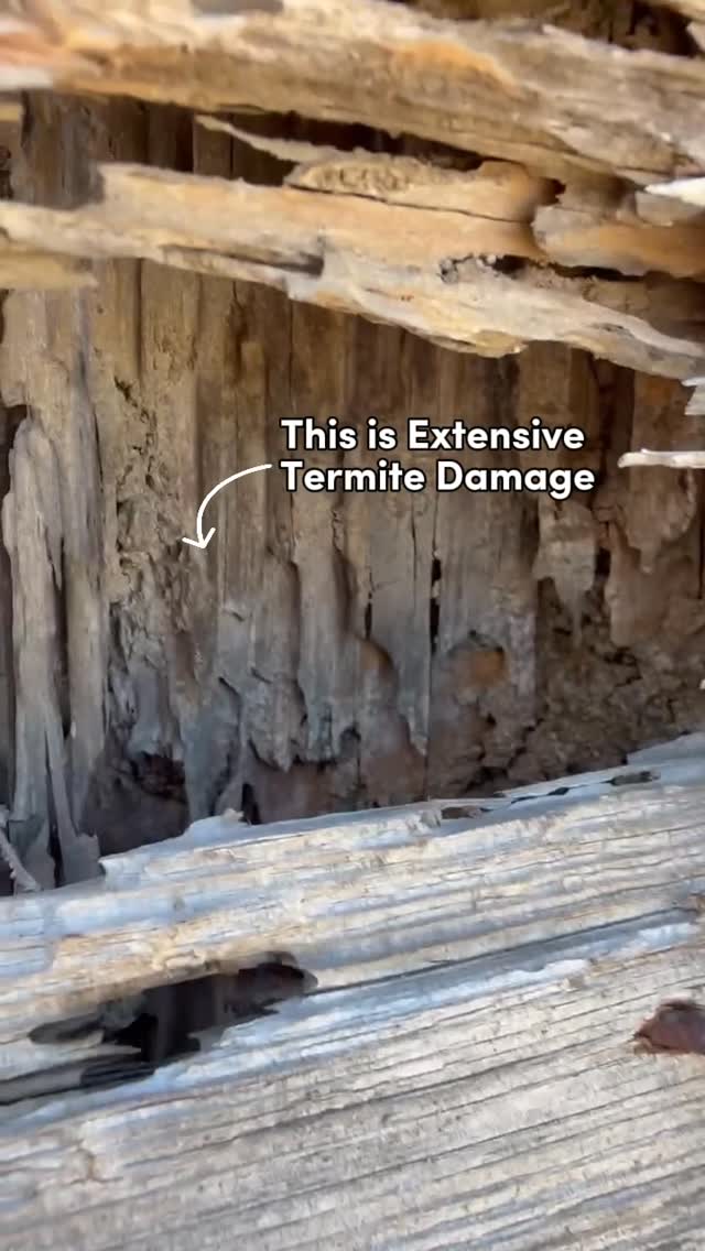 Years of termite damage… completely unnoticed.

This termite inspection was at a commercial property, inside a freight elevator and the level of damage had already started to impact structural integrity. That’s when it becomes more than just a pest issue… it becomes a safety concern. ⚠️

Termites don’t stop on their own. They continue to eat away at the structure, weakening the wood that literally keeps a roof over your head, whether it’s your home or your business.

The good news is, there’s a solution. ✅

With a remedial treatment, we can stop the activity and give you the opportunity to repair and rebuild the damaged structure with confidence. From there, installing the Sentricon® system provides continuous, always-active protection to help prevent it from happening again.

If you’re unsure what’s going on behind your walls or beneath your structure, it’s worth taking a look.🔍

We’re offering FREE termite inspections this month + $100 off treatment for a limited time.

Schedule your inspection today 👉 ggapest.com

