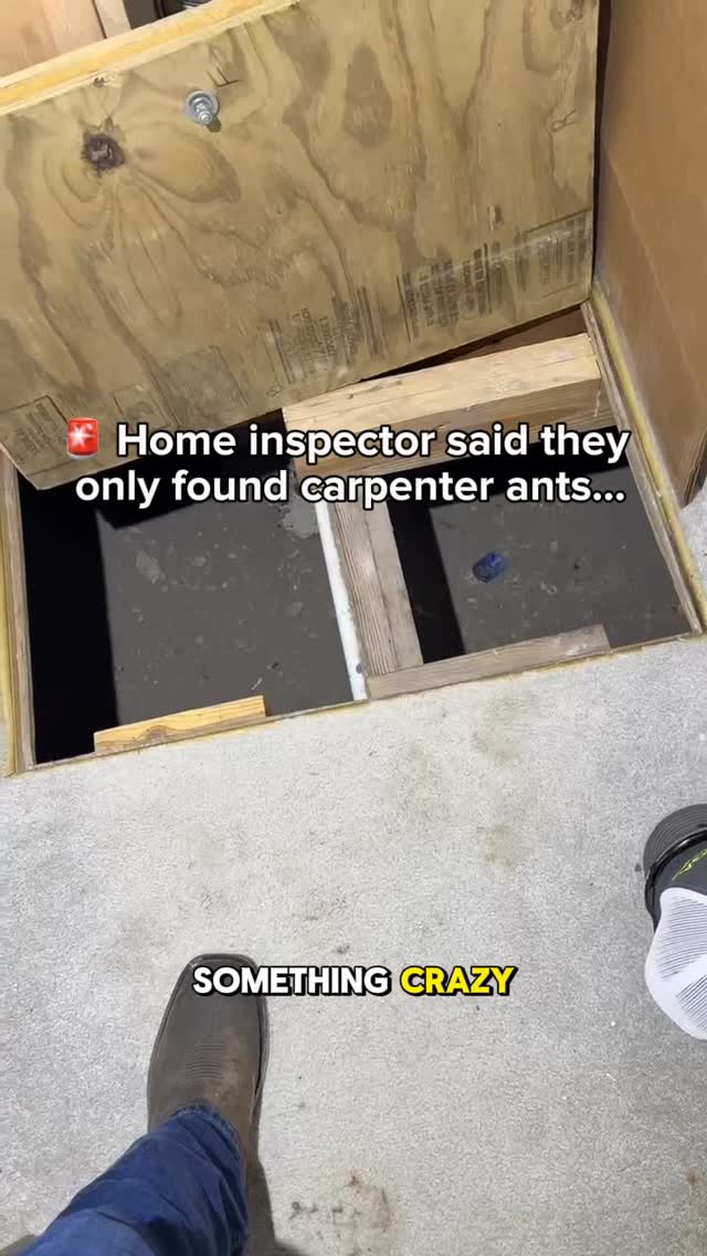 When it comes to pest control, finding + treating pest infestations is only part of the job. 👀

In this case, the home inspector noted carpenter ants. During our inspection, we took a closer look inside the crawl space and found a tree stump underneath the home. 🔍🪾

Conditions like excess wood, moisture, and other hidden issues can create an environment that attracts pests and contributes to ongoing problems.

That’s why a thorough inspection matters. Treating the pest problem is important, but finding what’s attracting them is JUST AS important.

👉If you’re noticing signs of pest activity around your home, schedule a free inspection at ggapest.com

