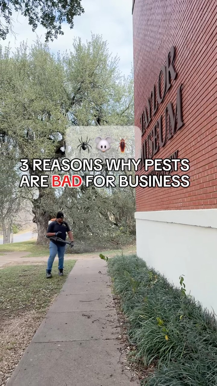 🪳 Pests aren’t just a nuisance, they can be BAD for business. Here’s why👇

1️⃣ Your Reputation: one pest sighting can leave a lasting impression on customers.

2️⃣ Your Property: bugs and rodents can cause damage to your building, equipment, and inventory.

3️⃣ Health & Safety: Pests can create health and safety concerns for employees and customers.

Staying proactive with commercial pest control helps prevent problems before they have a chance to impact your business. 🐀🕷️🦟 

Learn more and schedule a free inspection at ggapest.com


