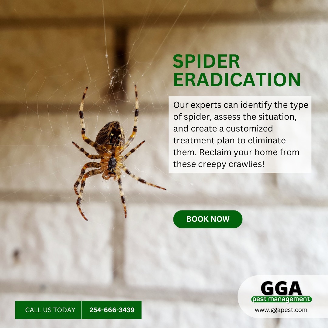 🕷️ Eight legs, one big problem! 🕷️

Are spiders creeping you out? Don't let these eight-legged invaders take over your home.
We know how unsettling it can be to find spiders lurking in your living space. From tiny to terrifying, they can be a real nuisance. Don't let them ruin your peace of mind!

GGA Pest Management is here to help. Our experts can identify the type of spider, assess the situation, and create a customized treatment plan to eliminate them. Reclaim your home from these creepy crawlies!
Call us today to schedule an appointment!

