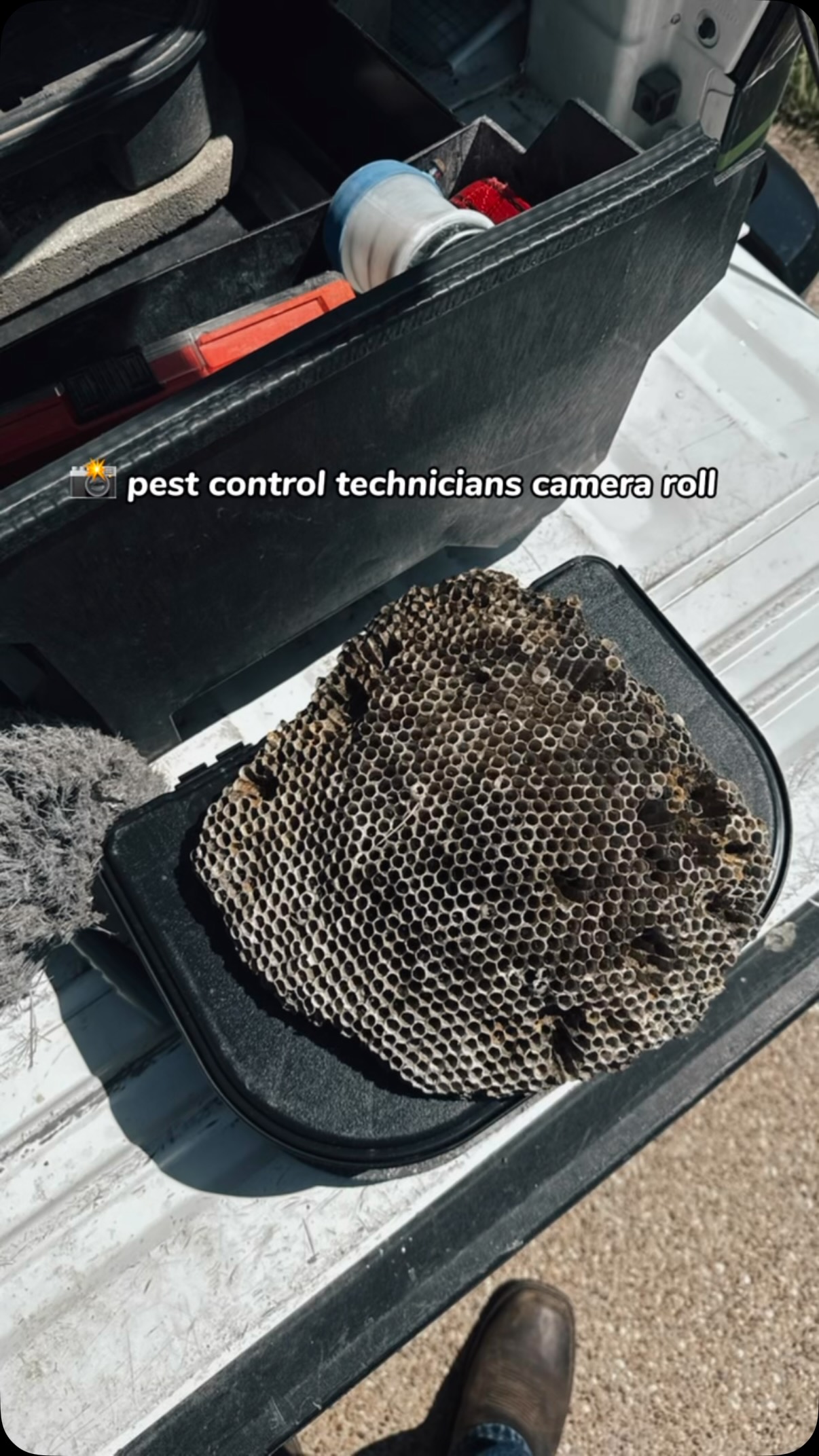 Ever wonder what’s on a pest control technician’s camera roll? 👀🐜

Here’s a small glimpse into what our team sees every day in the field. From massive wasp nests and hidden termite activity to bee swarms and rodents tucked away inside walls, no two days are ever the same. 🐀🐝

Our technicians are always snapping photos of what they find, not just because it’s interesting, but because it helps us show homeowners exactly what’s happening on their property. 📸🏡

It’s definitely never a dull day in the pest control world.

