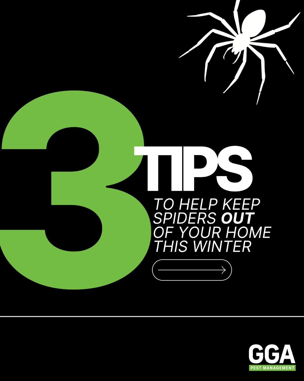 🕷️ Seeing more spiders inside this winter? You’re not alone. When temps drop, spiders start looking for warm, quiet places to hide and your home is the perfect target.

Here are 3 simple ways to help keep spiders OUT this winter:
✅ Seal entry points
✅ Declutter storage areas
✅ Reduce their food supply (aka other bugs)

And the best part? You don’t have to handle it yourself - our technicians focus on prevention to stop spiders before they settle in.

📲 Want help spider-proofing your home? Schedule your free pest inspection online at ggapest.com

