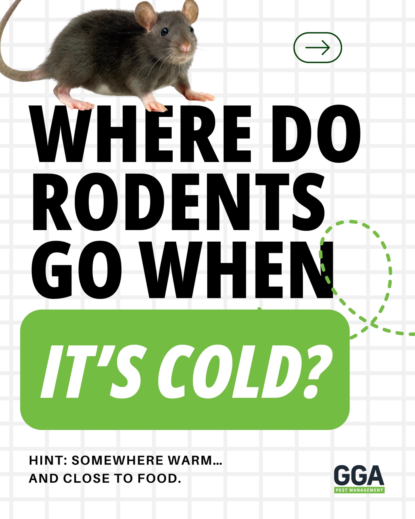 When the weather cools down, rodents don’t disappear… they just start looking for a warmer place to stay 🐭🏠
And unfortunately, homes check all the boxes: warmth, shelter, and easy access to food.

That’s why winter is one of the most common times we hear about scratching noises, pantry surprises, or unexpected guests in attics and garages.

Swipe through to see where rodents tend to go when temperatures drop and what makes homes so appealing this time of year.

📌 Save this for later so you know what to watch for! 


