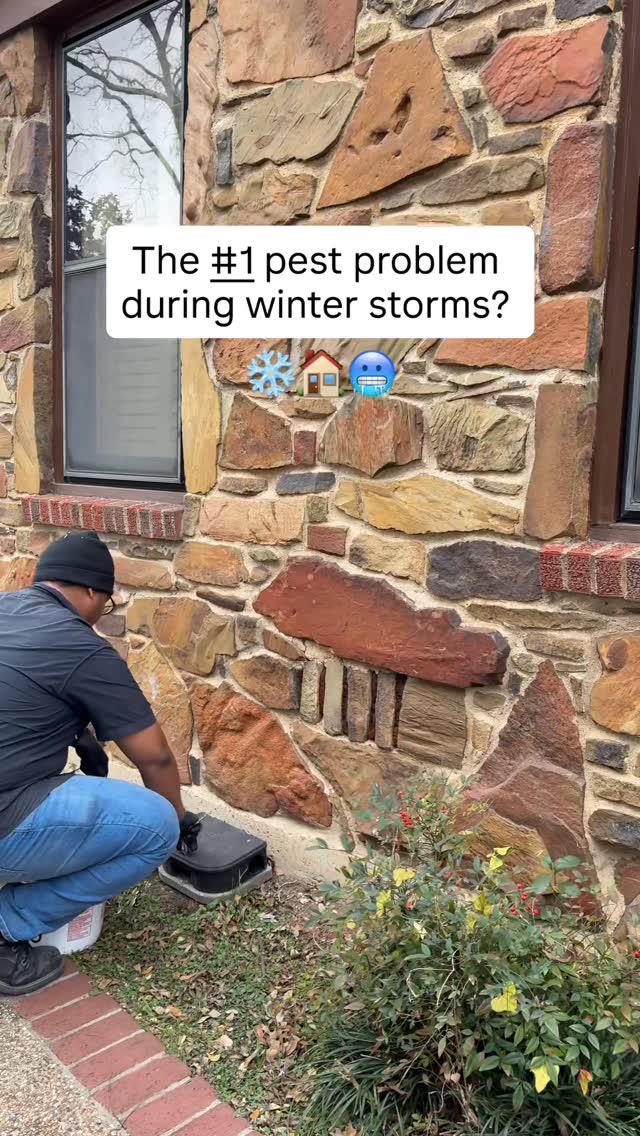 ❄️ Winter storm prep isn’t just pipes and plants… it’s pests too.

As temps drop, rodents are looking for warmth, and they’ll take any small opening they can find (including your home!) That’s why we’re out servicing rodent bait stations and keeping our Waco & Central Texas customers protected before the storm hits. 🐭🏠

Stay warm out there - and if you need help keeping rodents OUT this winter, we’ve got you covered.
📲 Easily book online at ggapest.com to schedule service.


