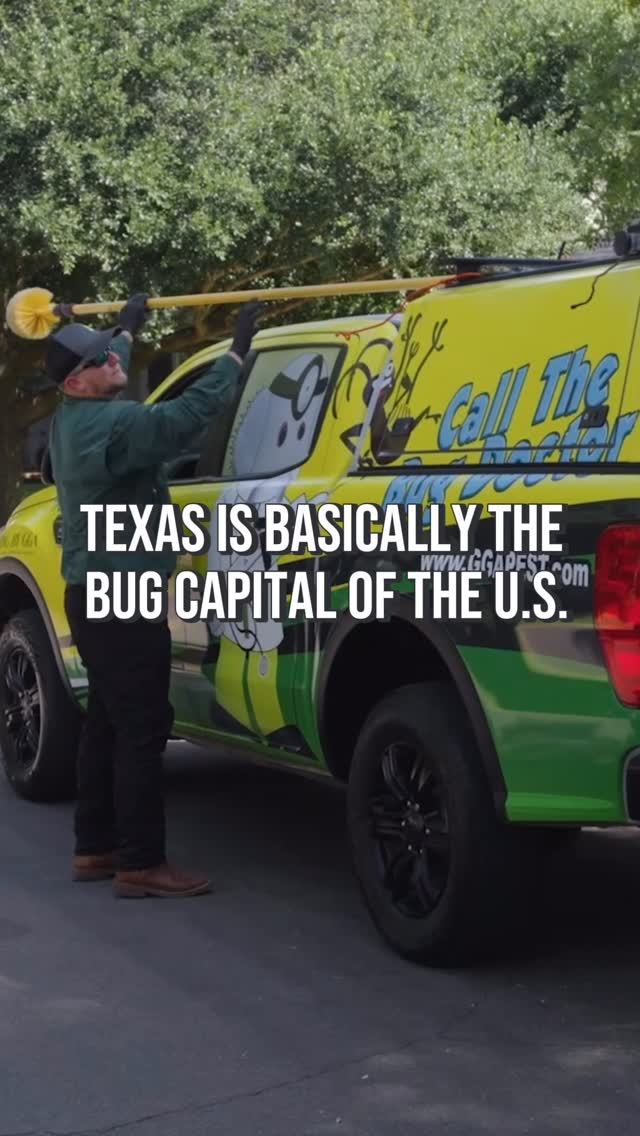 If you live in Waco or anywhere in Central Texas, you already know… once it starts warming up, bug season hits fast. 👀🪳

A few warm days + spring moisture is usually all it takes for activity to ramp up - and suddenly you’re seeing ants along baseboards, spiders in corners, or roaches in the kitchen.

The best time to treat bugs? Before you’re dealing with a full-blown problem. ✅

We’re currently running a 20% OFF promo on our one-time exterior pest treatment to help homeowners get ahead of spring. 🏡
👉Book online & learn more at ggapest.com

