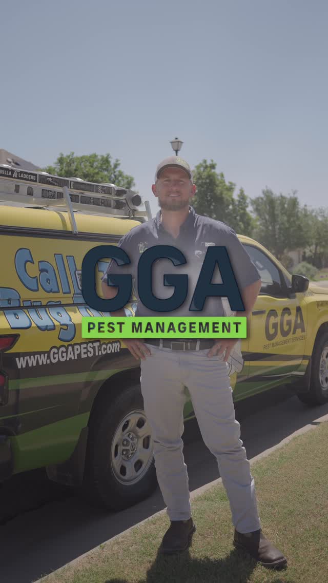 🪳 If you’re dealing with ants, roaches, spiders, or mosquitoes right now, it’s not a coincidence. As temperatures rise and we move closer to summer, pest activity starts increasing across Central Texas. 

Every year, pests follow the same seasonal patterns. Ants begin foraging more aggressively, mosquitoes take advantage of rain and standing water, and spiders become more noticeable as insect populations grow. 🕷️🏡

The good news is that these seasonal pest issues are often preventable when they’re addressed early. ✅

If you’ve been noticing more bugs around your home lately, NOW is a great time to schedule a free inspection, and if you’re a new customer, you can receive $50 OFF your first pest control service when you book online at ggapest.com 

