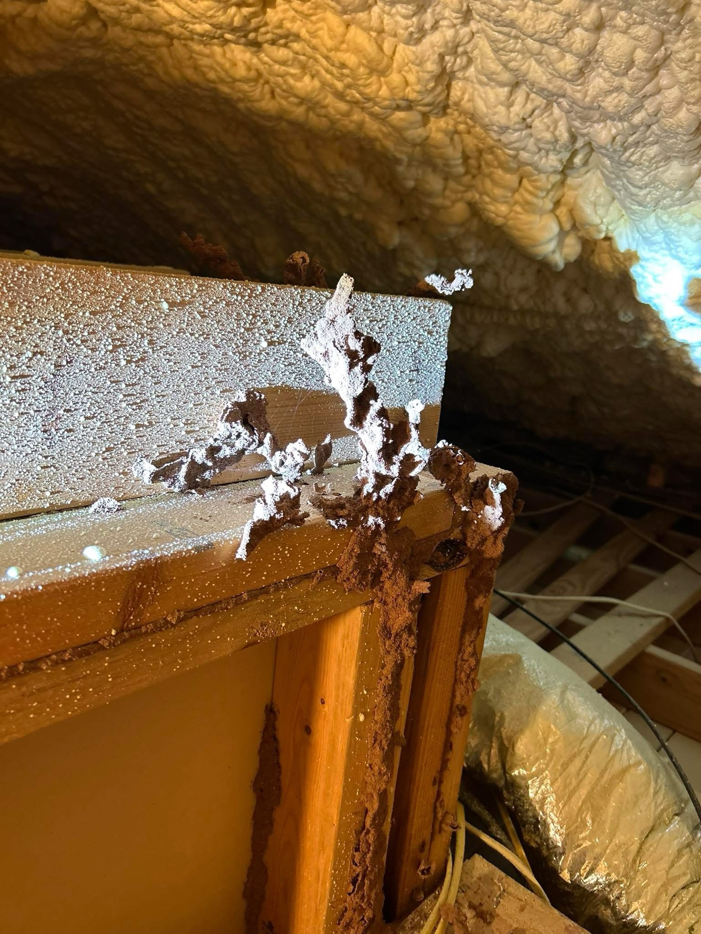 👀 This is what ACTIVE TERMITE damage actually looks like inside your home! 

Our technician took this photo today in Central Texas - mud tubes running through the structure, hidden out of sight until the damage is already happening. By the time you see something like this, they’ve likely been there for a while.

With spring here, termite swarmers are out and colonies are expanding fast. This is the season where small issues turn into EXPENSIVE repairs.💰

If you haven’t had your home inspected recently, now is the time. ➡️ ggapest.com

