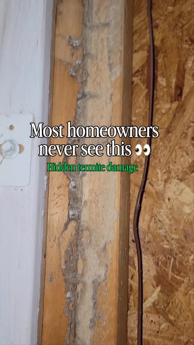 As Termite Awareness Week comes to a close, we wanted to show a REAL example of what our technicians sometimes find during inspections. 🏠🔍

This is a termite mud tube discovered inside a wall during a home inspection.

Subterranean termites build these tubes using soil, wood particles, and saliva to create protected pathways between the ground and the wood inside a structure. These tunnels help them stay hidden, retain moisture, and safely travel while feeding on the home. 

Most homeowners never see this kind of activity because it’s usually hidden behind walls, under floors, or inside crawl spaces. 👀

That’s why regular inspections are SO important.

Catching termite activity early can help protect your home and prevent costly damage. Book a FREE termite inspection online at ➡️ ggapest.com

