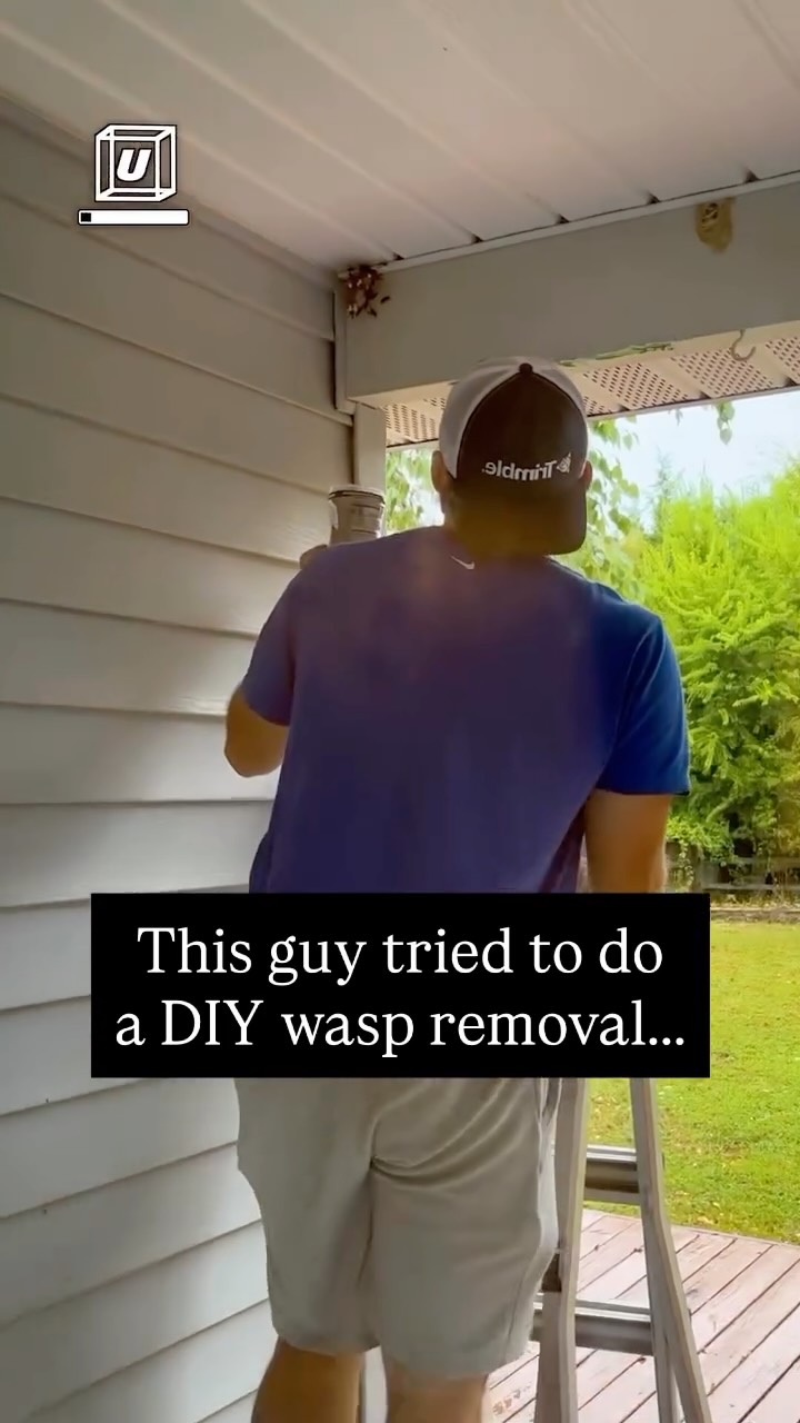 We’ve all been there - you see a wasp nest, you think “I can handle this”, and suddenly it’s very clear… you cannot. 😅🐝

DIY pest control usually comes from good intentions, but it can go sideways fast, especially with wasps and hornets. They’re protective, unpredictable, and they don’t give second chances.

If you’re dealing with stinging pests, skip the risky part and call the pros. We’ve got the right tools, training, and the not-getting-stung part down. 😉


