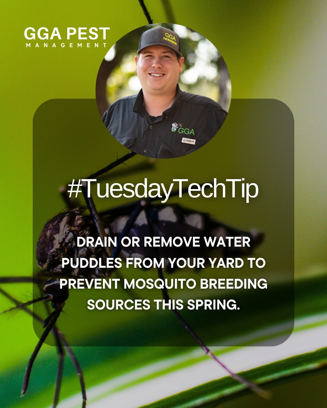 There's a buzz in the air - and it's NOT good news. Mosquitos are coming! Head 'em off with easy maintenance tips and help from GGA. Call today for plan options. ☎️ 254.666.3439