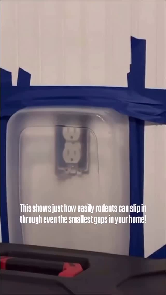 🐭 For mice, TINY gaps become easy doorways. 

This video is a perfect example: a mouse slips right through a small opening around an electrical outlet. The same thing can happen in your home, too. All they need is a gap about the size of a dime, and they’re in.

Our team can build a custom rodent control plan for your home and seal the cracks, gaps, and entry points that mice use to get inside. 🐁🏠

➡️Get started at ggapest.com

