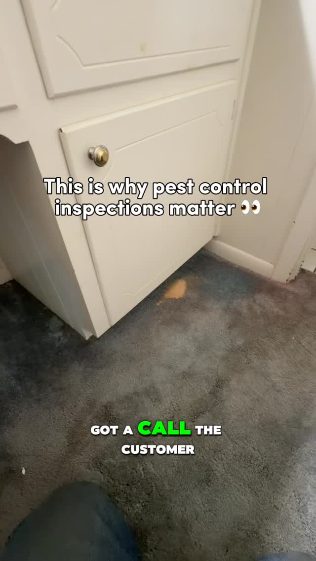 The customer thought they had carpenter ants….

At first glance, it looked like it too. 🐜 There was what appeared to be wood dust under the sink, which is often associated with carpenter ant activity. But after taking a closer look, our technician noticed something didn’t add up.

The “dust” wasn’t coming from carpenter ants at all. A mouse had chewed into a box stored under the sink, spilling the contents and creating a mess that looked almost identical to carpenter ant debris. 🐭

That’s exactly why professional pest inspections matter.

Sometimes the obvious answer isn’t the right one. A trained technician knows what signs to look for, what questions to ask, and how to identify the actual source of the problem before recommending treatment. 🔍

In this case, we arrived expecting carpenter ants and left with a plan to solve a rodent issue instead.

The right solution starts with the right diagnosis. ✅

