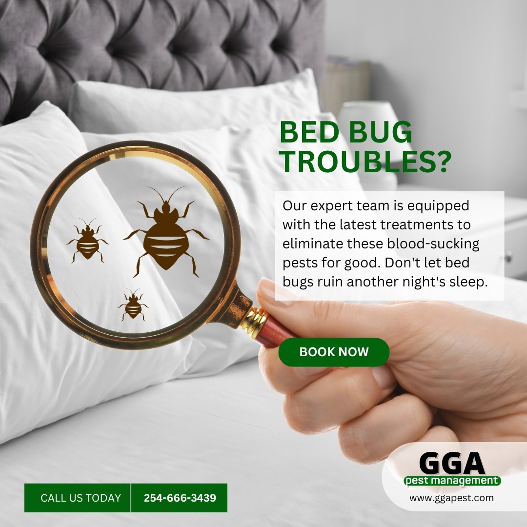 Are sleepless nights and itchy bites ruining your life? 😫 
Bed bugs are a nightmare no one wants to face. Don't let these pesky critters take over your home!

GGA Pest Management is your bed bug battle partner! Our expert team is equipped with the latest treatments to eliminate these blood-sucking pests for good. Don't let bed bugs ruin another night's sleep.

Contact us today for a free inspection and let us help you reclaim your peace of mind. Sweet dreams await! 💤

