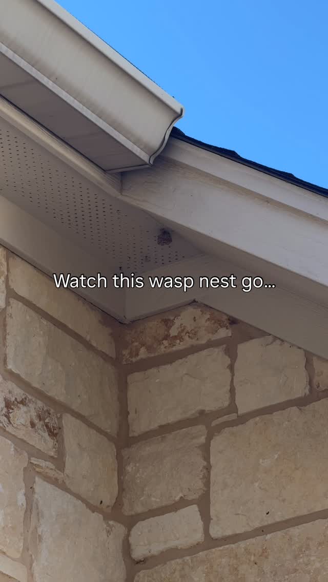 Another wasp nest gone bye-bye-bye! 👋🐝

If you’re spotting wasps around your roofline, porch, or eaves, don’t take the risk of removing it yourself. Our licensed techs handle it safely and fast. Web brushing and wasp nest removal upkeep is included in your recurring service plan. 

👉ggapest.com

