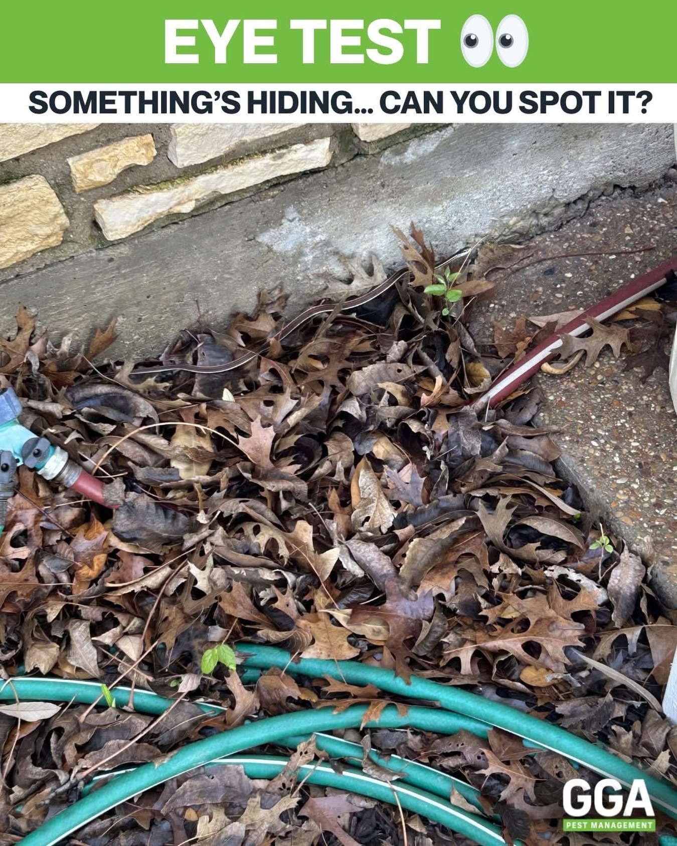 Comment when you see it 👇

One of our technicians sent this in while out on a service call… something was hiding in plain sight.

As the weather warms up, critters love to tuck themselves into leaf piles, mulch, and areas like this where they’re protected and hard to spot.

Just a good reminder to keep an eye out when you’re working around your yard this time of year. 👀

