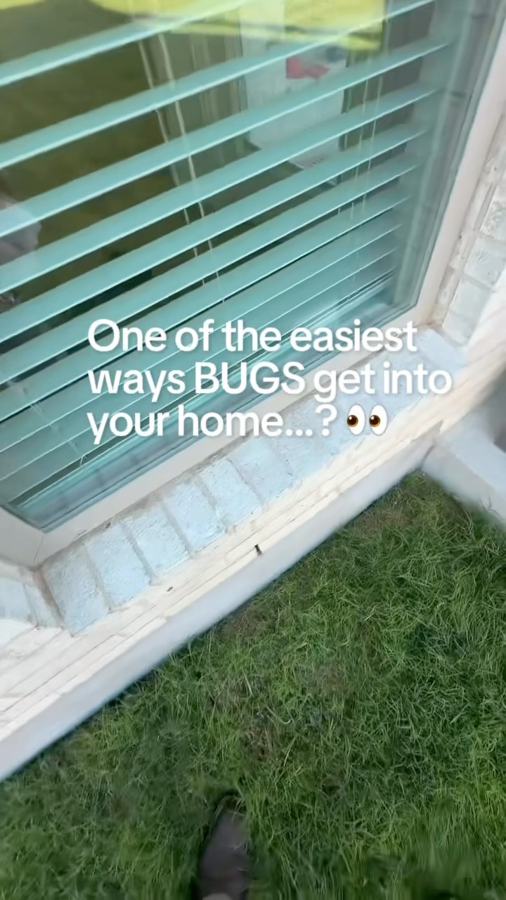 Those little openings along the bottom of your brick home are called weep holes, and they’re one of the easiest ways for bugs to get inside. 🕳️🕷️🐜

Ants, spiders, roaches, and other crawling insects often use weep holes as an entry point into the wall void, where it’s dark, protected, and undisturbed. Once inside, they have an easier path into your home.🏡

Filling these openings with a pest-blocking material helps reduce one of the easiest ways bugs can get inside your home.

It’s one of those small details that many homeowners never notice, but it can make a BIG difference. ✅

