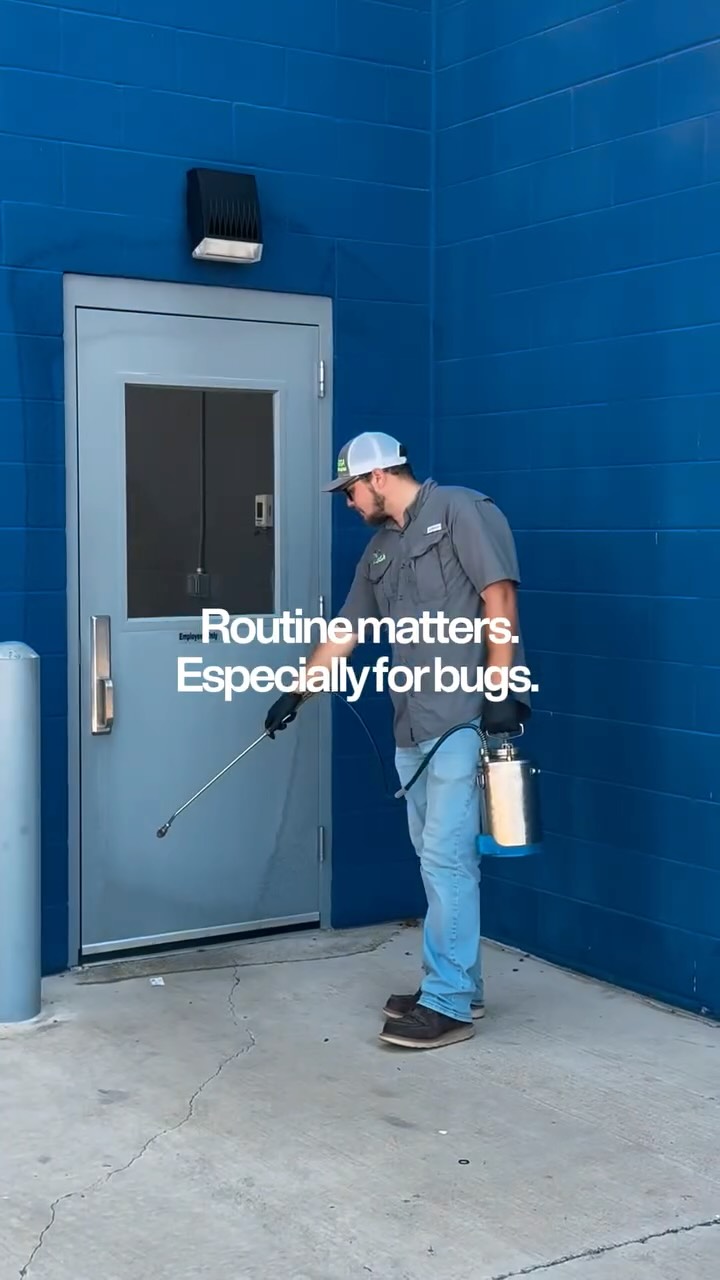 🪳Most pest problems start small. A few bugs here and there that go unnoticed… until it’s no longer JUST a few.

Infestations don’t usually start overnight. They build slowly, in the spots you don’t see and the areas that get overlooked. 👀🦟🕷️

That’s why consistent service matters. Not just reacting when there’s a problem, but staying ahead of it.

Whether you’re managing a business or protecting your home, it takes a routine to keep things running the way they should. 🏡🏢

Getting started with a free inspection is simple.
👉Book online anytime at ggapest.com

