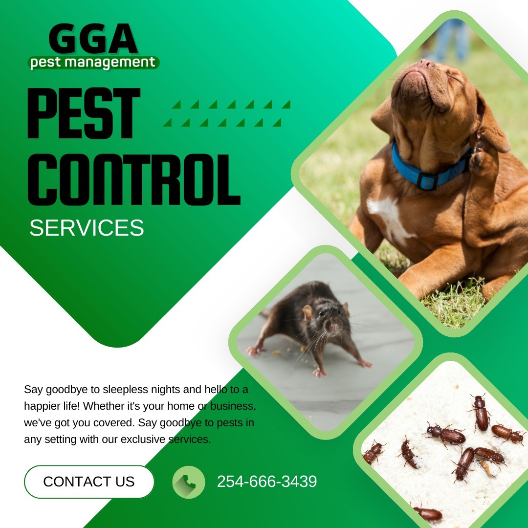 The term “vermin” refers to any small, harmful, or annoying insect or animal that is difficult to control or eliminate, including pests like fleas, lice, mice, rats, and even rabbits. 

These creatures can invade your space, causing discomfort, health risks, and damage to your property. Our vermin control services in Waco, Texas are tailored to address and manage these challenging pests, utilizing safe and efficient methods to ensure they don’t return. 

Learn more by visiting: 
https://ggapest.com/waco/pest-services/critters