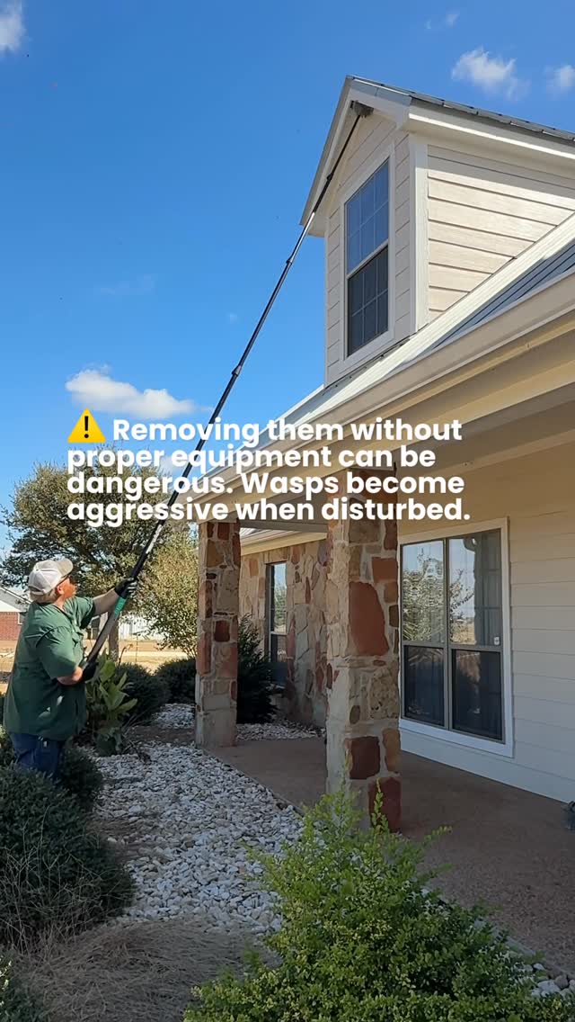 ⚠️ Wasp nests aren’t always easy to spot, especially when they’re built along second-story eaves like this one.

That height helps protect them, but it also makes removal a lot more dangerous without the right tools.

Just a quick look at how our techs handle it safely. 😎

