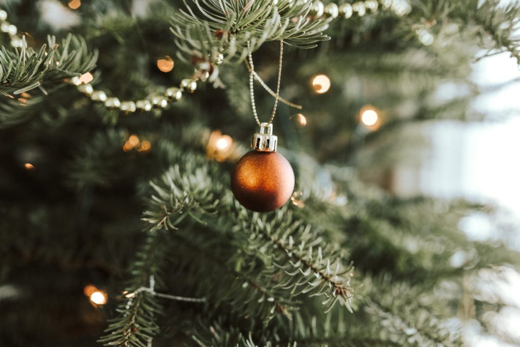 7 Common Christmas Tree Pests