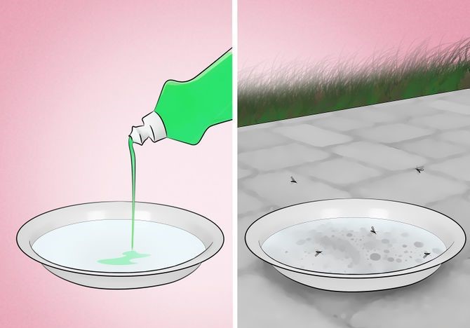 get rid of mosquitos with dish soap.jpeg